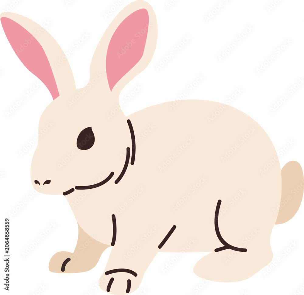 Obraz premium Various Pet Illustration 