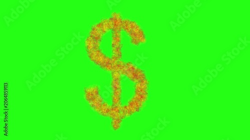 Dollar Sign Text Animation with Fire Effect on Green Screen Background for Money and Finance VFX