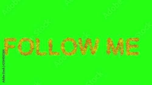 Follow Me Text Animation with Fire Effect on Green Screen Background for Chroma Key VFX Video