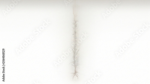 Abstract white twisting spiral structure with abstract twisting geometry structure minimalist