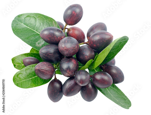 Fresh ripe karonda fruits with green leaves isolated on white background
