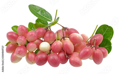 Fresh ripe karonda fruits with green leaves isolated on white background