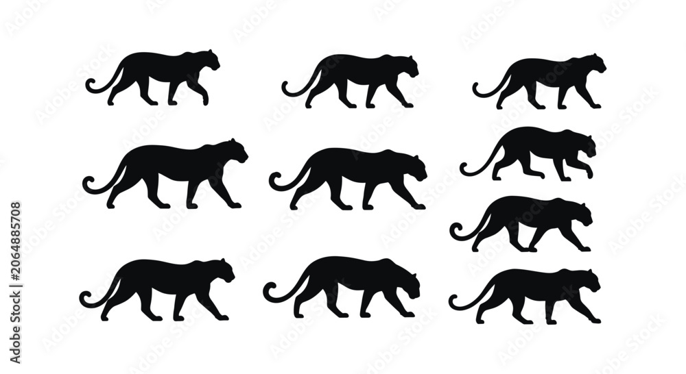 Obraz premium Set of walking panther and leopard silhouettes for wildlife and predator design.