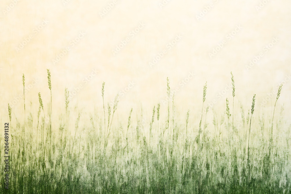 Fototapeta premium Serene field of tall grasses