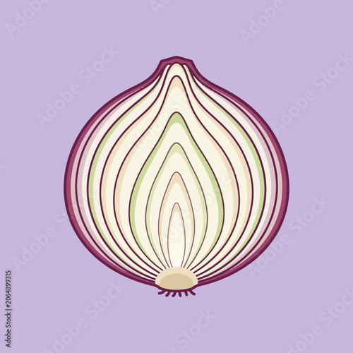 A cross section of a fresh purple onion on solid background