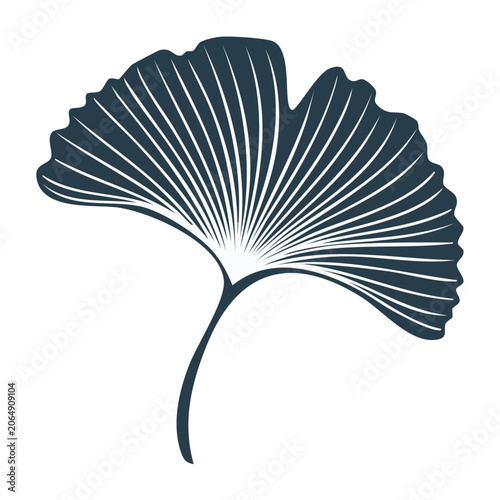 Minimalist Ginkgo Leaf Line Art Illustration