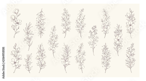 Cuadro en lienzo Minimalist botanical line art collection, 16 hand drawn floral branch vectors, e
