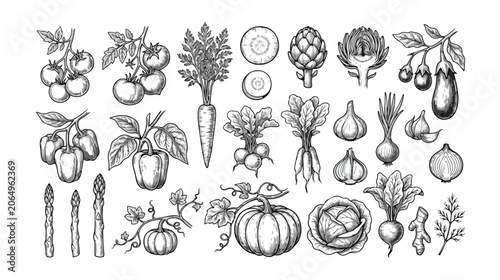 Bild auf Leinwand Vintage hand drawn vegetable collection, 25 engraved garden food icons, black an