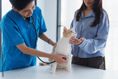 Veterinarian checking cat with stethoscope during pet health examination with owner in clinic