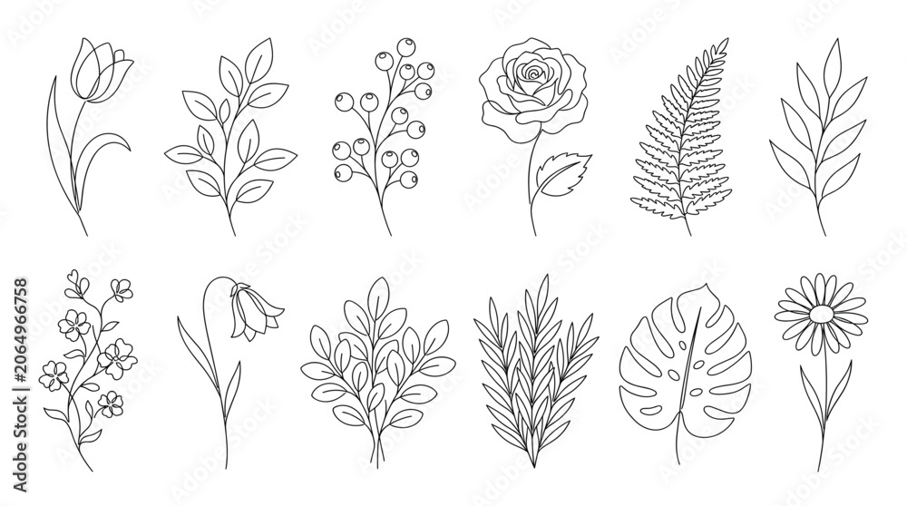 Fototapeta premium Botanical floral decorative elements set, minimalist line style, roses, daisies, ferns, tropical leaves, berries, and stems