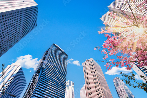 Foto 新宿西口高層ビル群の絶景