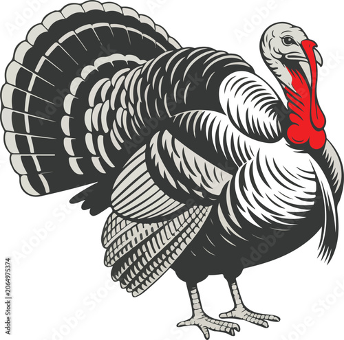 Turkey Bird Illustration Isolated on White Background