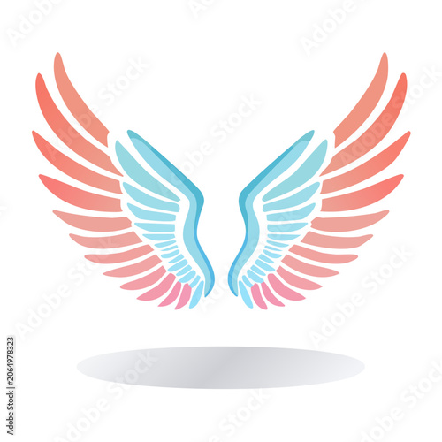 Flat design angel wings with pink and blue feathers