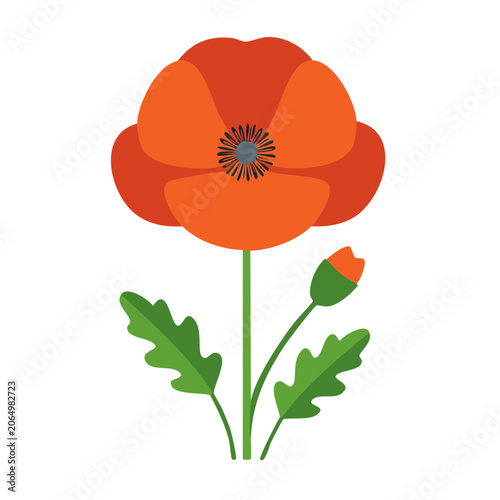 Flat Design Red Poppy Flower Illustration
