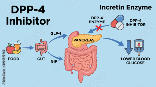 Quadro su tela DPP-4 Inhibitor Incretin Enzyme Diabetes Medication Pathway