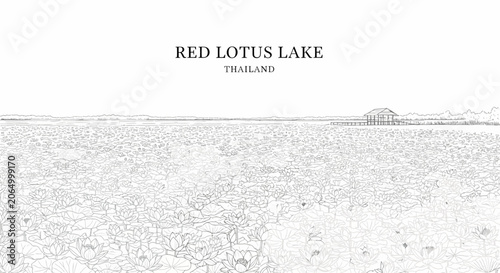 Schilderij op canvas A line drawing of Red Lotus Lake in Thailand showing a vast lotusfilled water ex