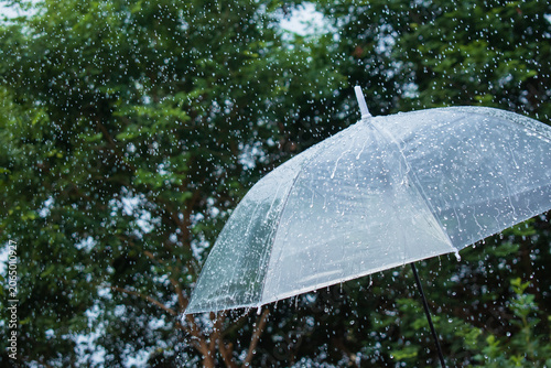 Clear umbrella in heavy rainfall with splashing raindrops, rainy season weather, storm protection and climate change concept.