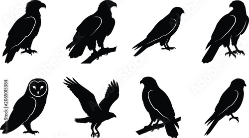 Cuadro en lienzo Birds of prey vector silhouettes set featuring eagle hawk falcon and owl in perc