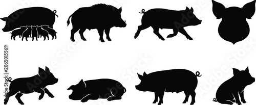 Fotografie Pig and wild boar vector silhouettes set including sow with piglets, running dom
