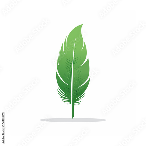 Green feather illustration on white background