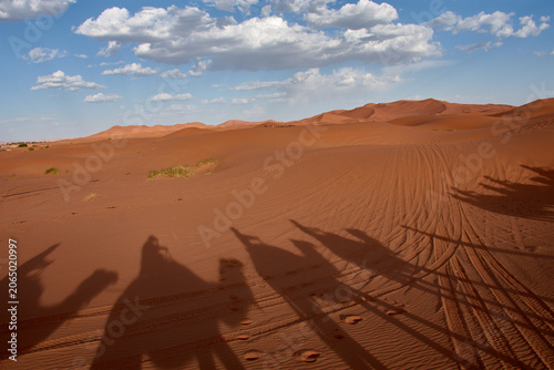 The long shadows of a camel caravan are projected across the dunes of the Merzouga desert in Morocco.