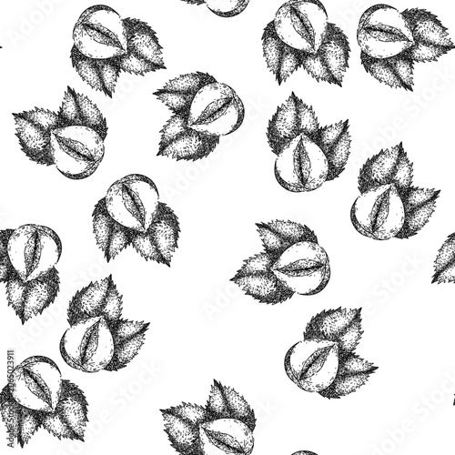 Photos seamless pattern hazelnut nut leaf hand drawn