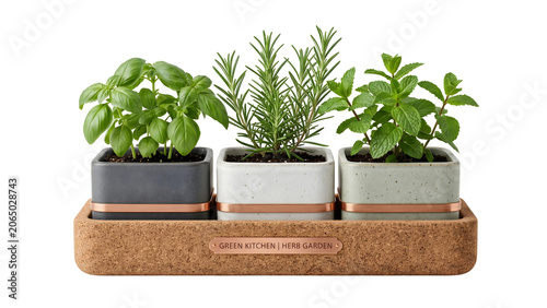 Three Potted Herbs Basil Rosemary Mint in Cork Tray Isolated on Transparent Background