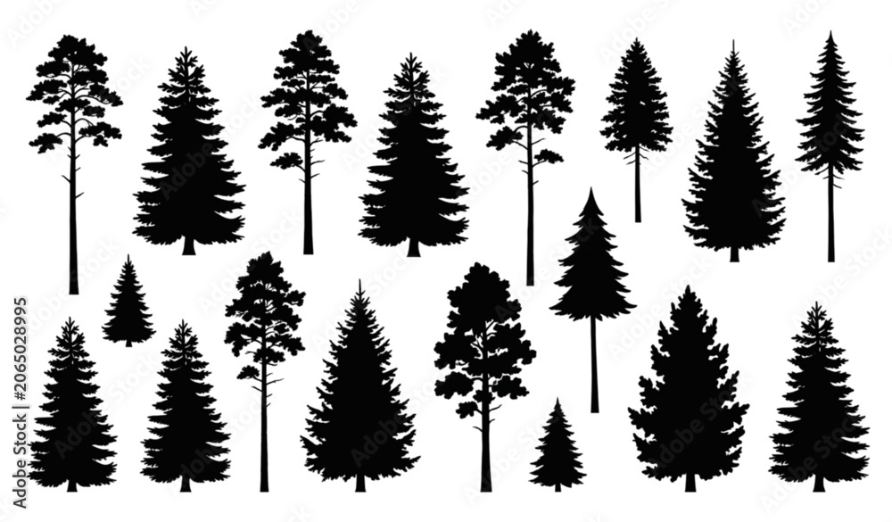 Fototapeta premium Evergreen Forest Tree Silhouette Set