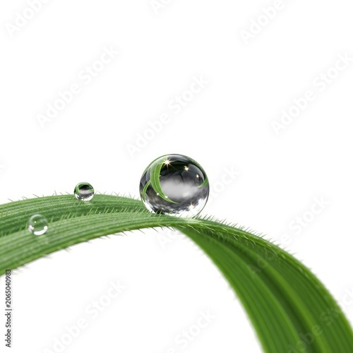 Close-up of a perfect water droplet on a green blade of grass against a white background.