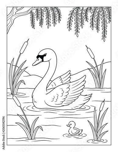 Obraz na płótnie Swan coloring page featuring a graceful parent bird and cygnet in a peaceful pon