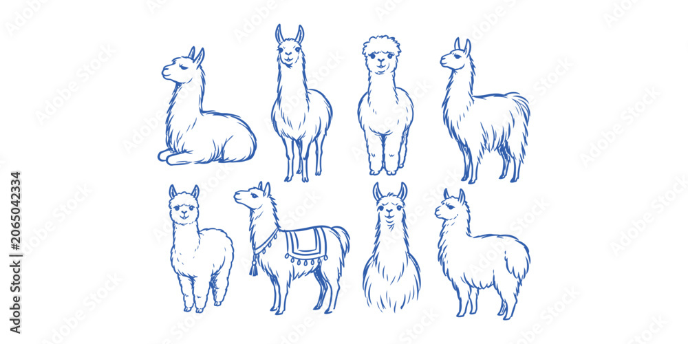 Fototapeta premium llama and alpaca animals doodle icon set with funny woolly guanaco cartoon characters vector illustration