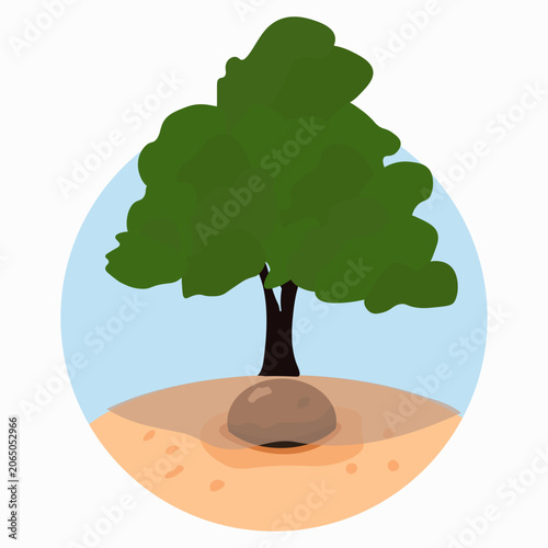 Tree shade protecting skin mole from sun exposure, sun safety and melanoma prevention concept