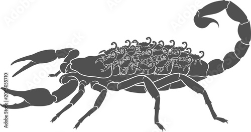 Canvastavla Detailed silhouette of a mother scorpion carrying numerous babies on its back