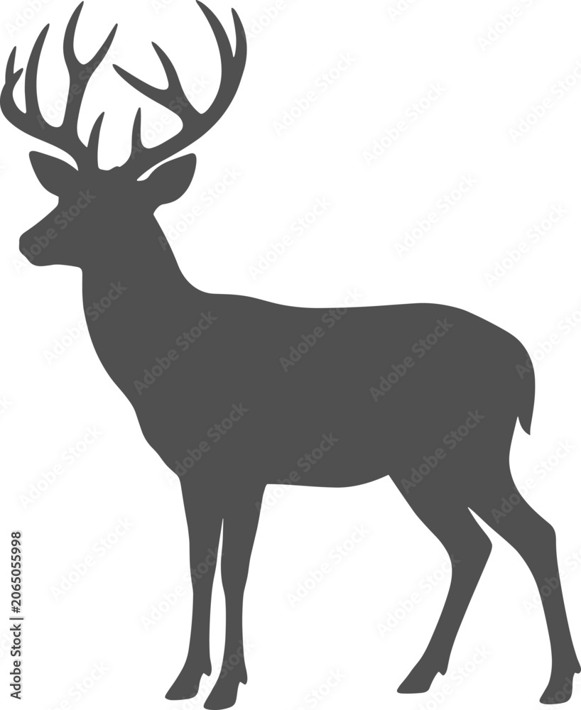Obraz premium Forest stag deer with detailed antlers standing silhouette on a transparent background