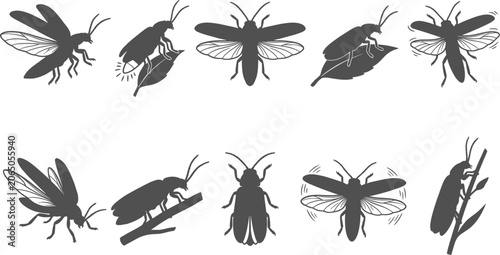 Bild auf Leinwand Firefly and lightning bug silhouettes flying and crawling on leaves on transpare