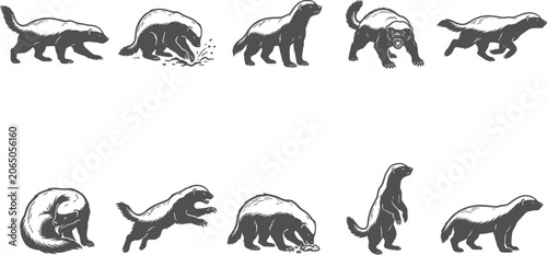 Fotografía Honey badger silhouettes and hand-drawn sketches showing active wildlife behavio