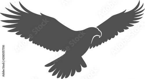 Quadro su tela Majestic bird of prey gliding downwards with wide spread wings on transparent ba