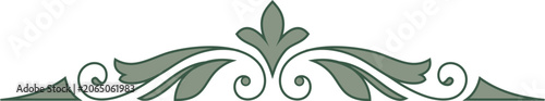 Elegant Decoratiove Vintage Ornate Flourish Element