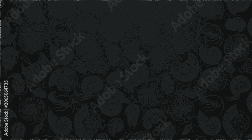 Abundant Ammonite Fossils Background - Ancient Marine Life