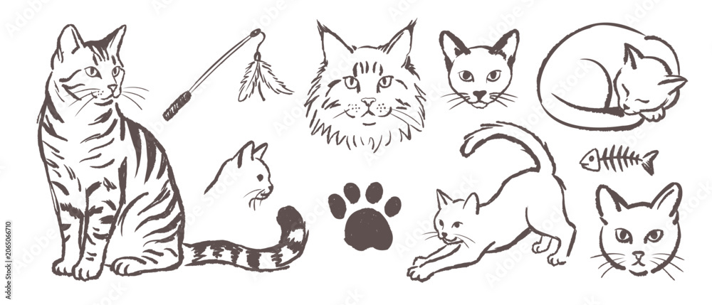 Naklejka premium Set of Hand Drawn Cats Collection Isolated Sketches Featuring Cute Feline Poses Paw Print Fish Skeleton and Toy Elements for Creative Design Projects