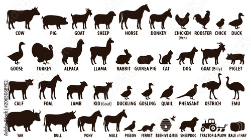 Farm Animals Silhouettes Collection: Cow, Pig, Horse, Chicken, Dog, Cat, Sheep, Goat