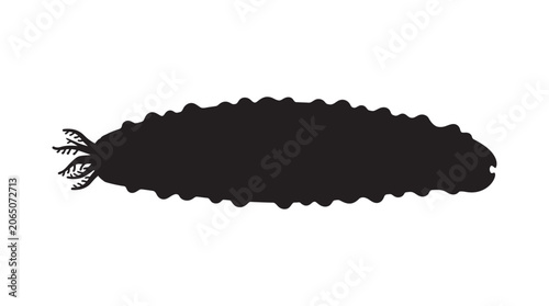 Bild auf Leinwand Sea Slug Silhouette On White Background nudibranch