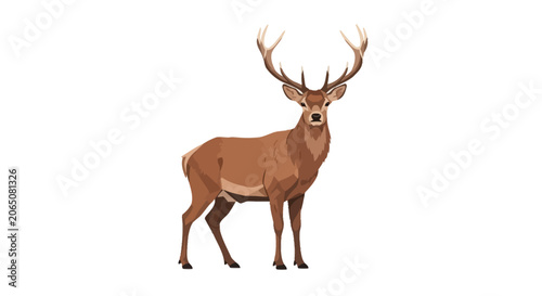 Bild auf Leinwand Majestic male deer with large antlers standing tall