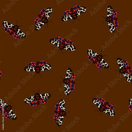 Photography pattern camouflage night moth hand drawn