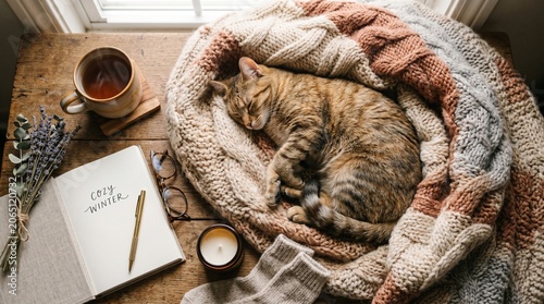 Cozy winter scene with a sleeping tabby cat on a knitted blanket