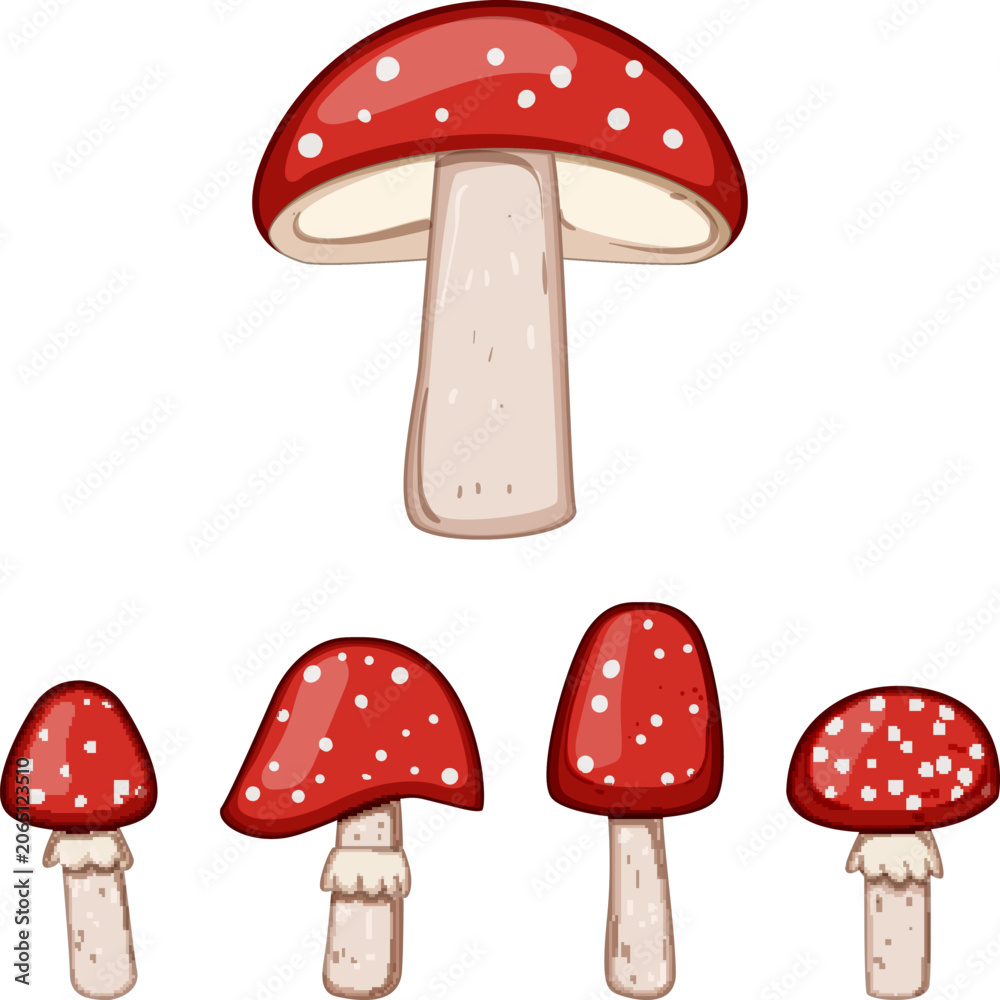 Fototapeta premium Fly agaric mushroom collection providing playful red and white toadstools for whimsical designs and forest themed compositions, ideal for nature inspired projects