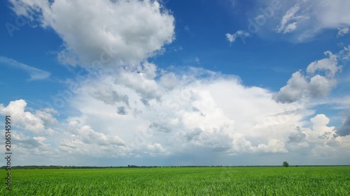 Time lapse video of white fluffy clouds drifting across a bright blue sky above a lush green agricultural field during summer day with natural sunlight and wide landscape view