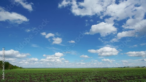 Time lapse video showing fluffy white clouds drifting across a bright blue sky above a lush green farm field during a sunny summer day in the countryside