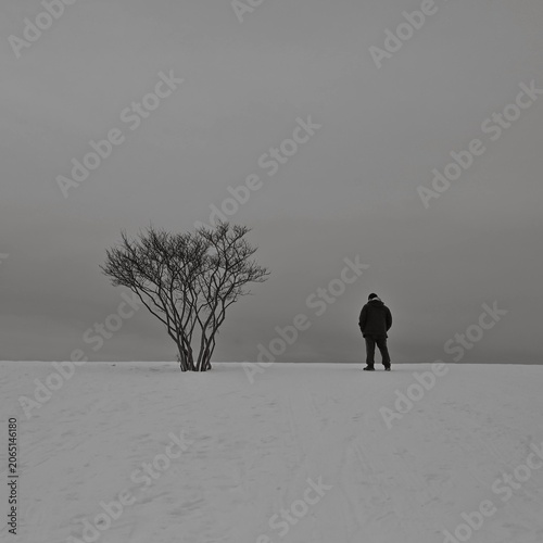 Vászonkép Minimalist landscape of lonely man standing near bare tree in snow invoking deep sadness, depression, and psychological solitude for mental health advertising