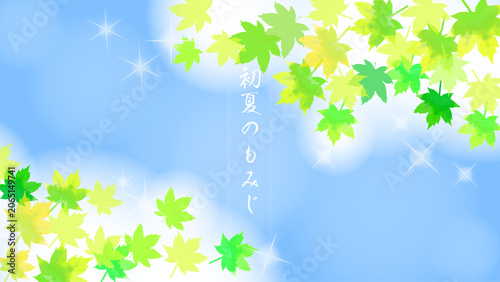 夏の光ともみじ　和のフレーム